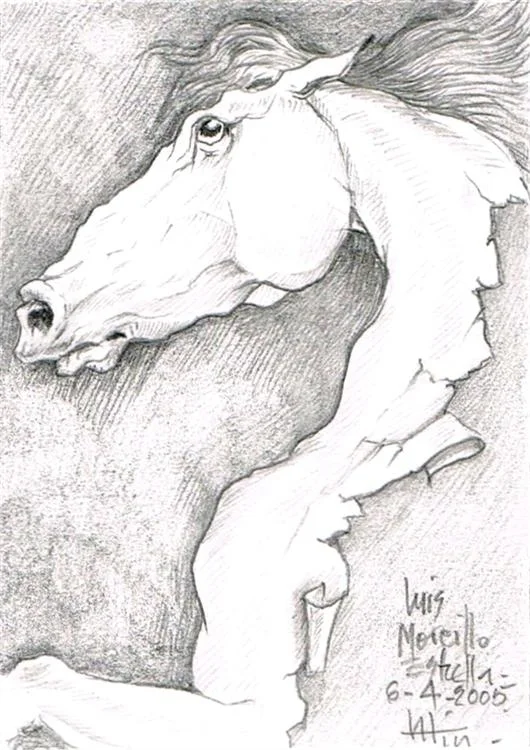 /img/gallery/dibujo/caballos/dibujo-caballos-12.webp