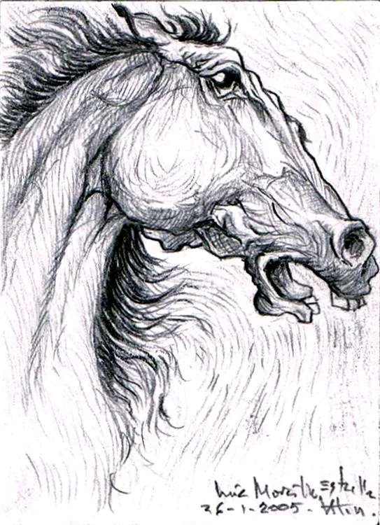 /img/gallery/dibujo/caballos/dibujo-caballos-19.webp