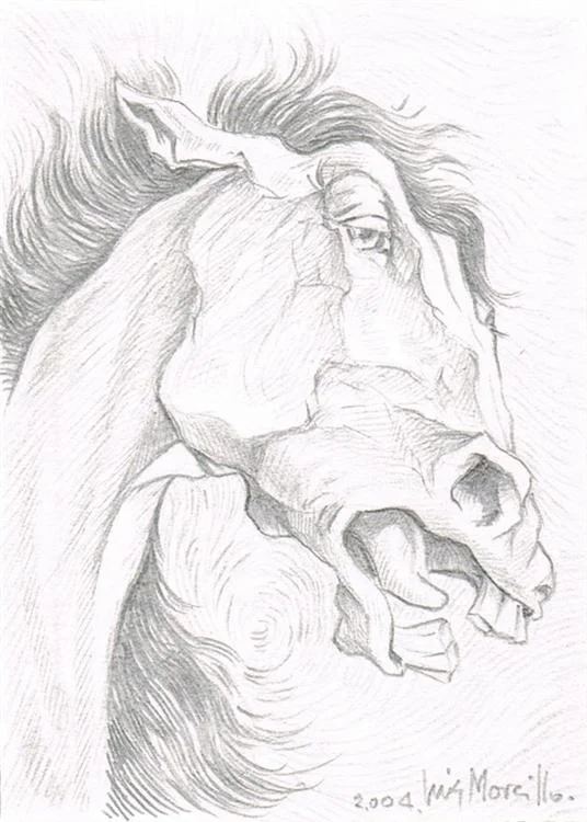 /img/gallery/dibujo/caballos/dibujo-caballos-2.webp