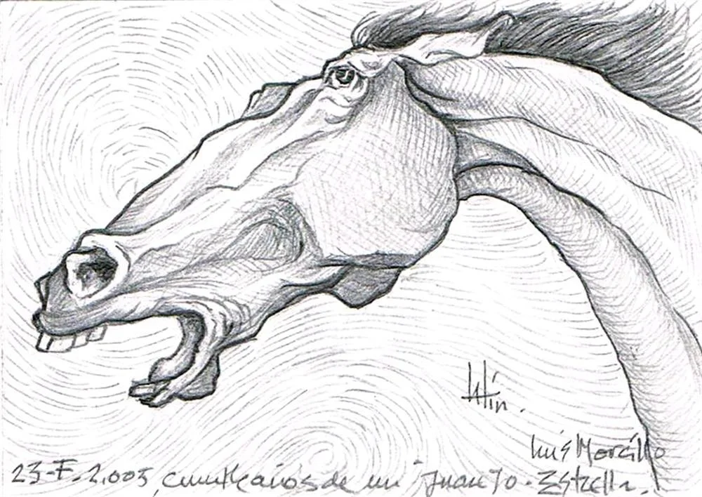 /img/gallery/dibujo/caballos/dibujo-caballos-5.webp