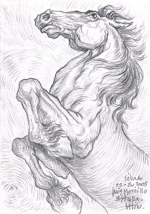 /img/gallery/dibujo/caballos/dibujo-caballos-8.webp