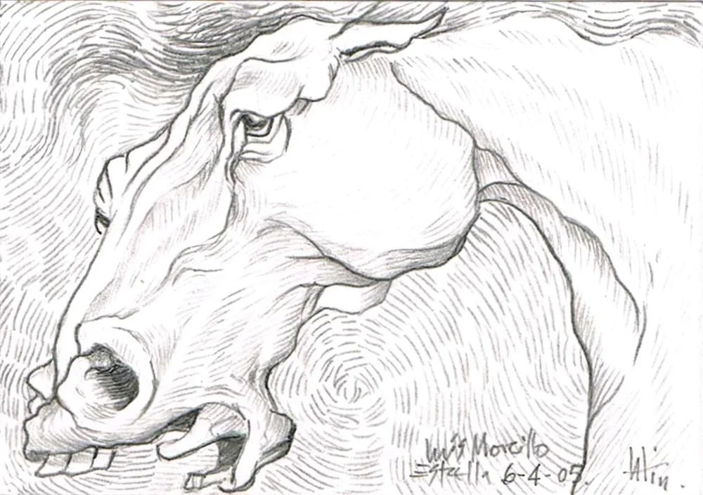 /img/gallery/dibujo/caballos/dibujo-caballos-11.webp