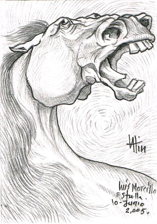 /img/gallery/dibujo/caballos/dibujo-caballos-13.webp